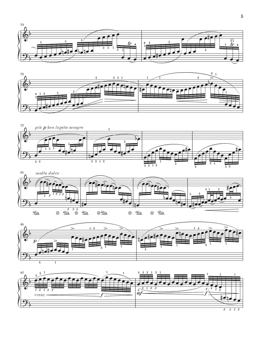 Bach-Brahms: Chaconne from Partita No. 2 in d minor - Image 3
