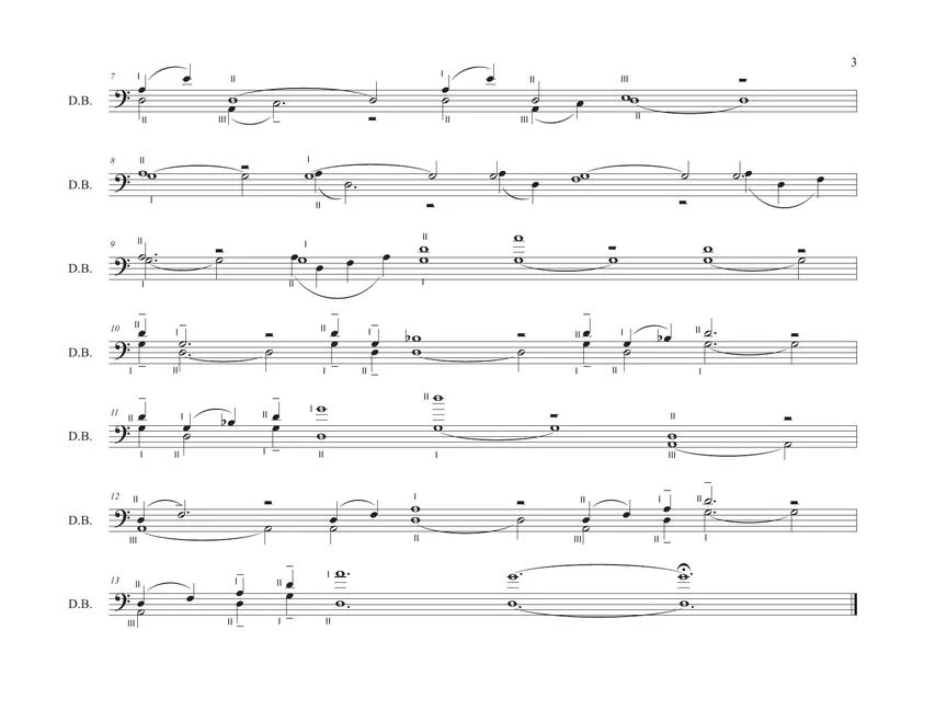 John Luther Adams: Three Nocturnes for Solo Double Bass - Image 3