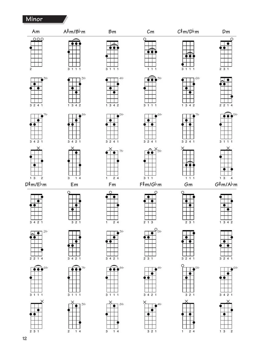 Johnson FastTrack – Chords & Scales for Ukulele - Image 4