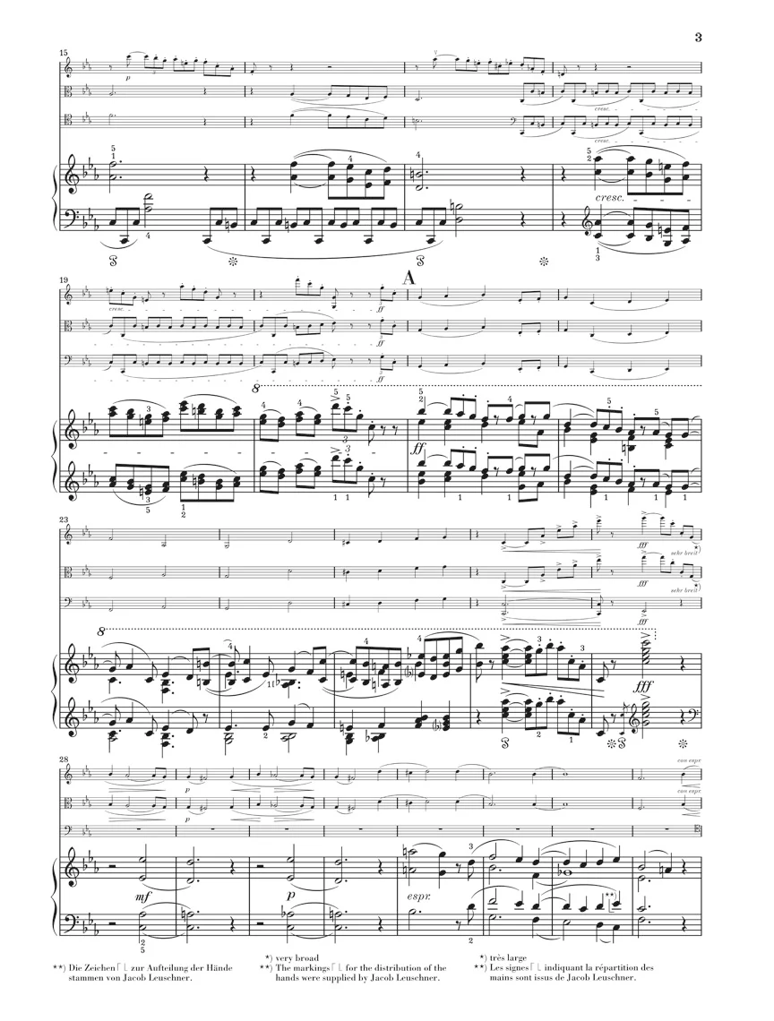 R. Strauss: Piano Quartet in c minor, Op. 13 - Image 3